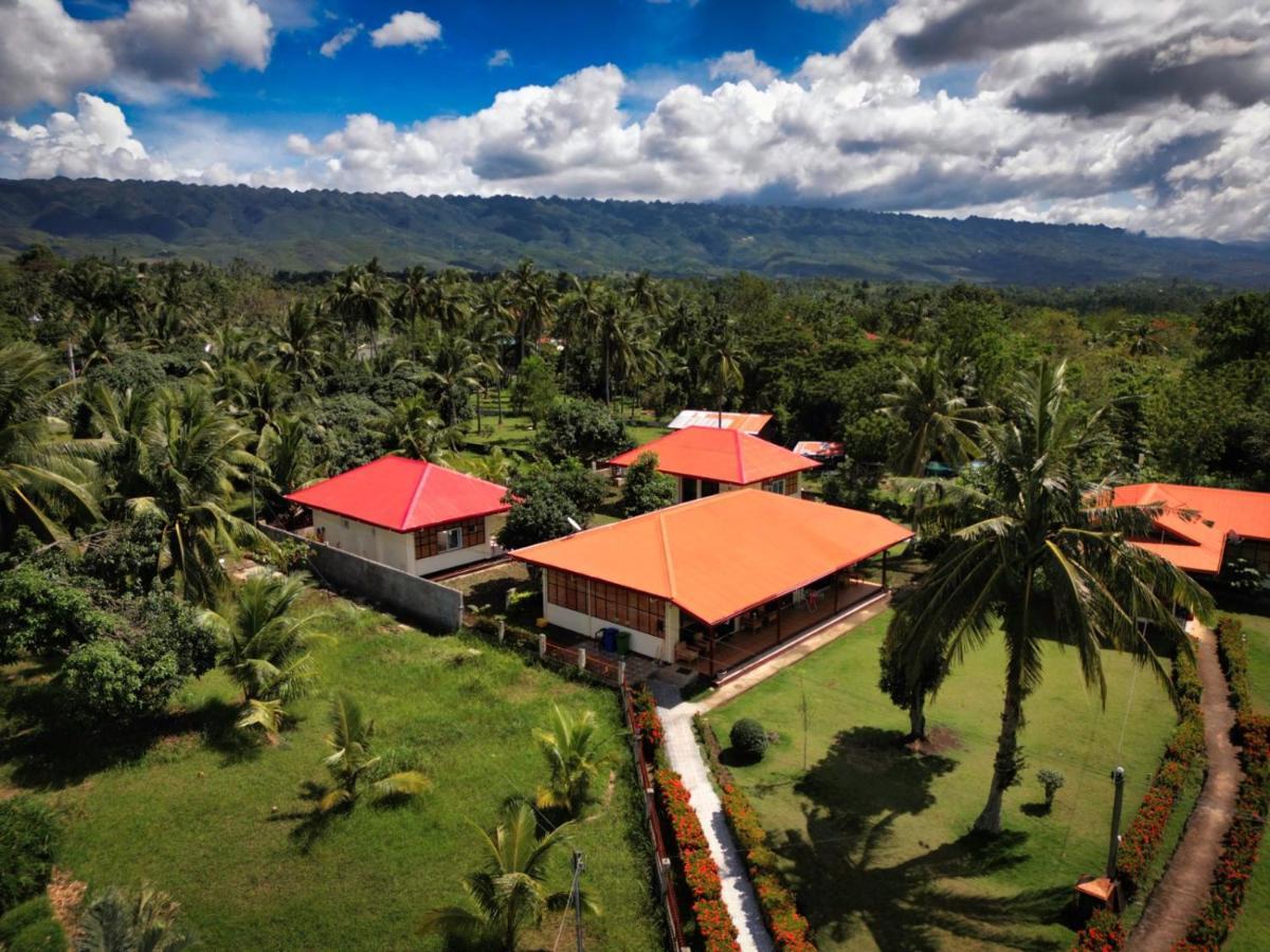 Villa Alessandra Homestay Moalboal Esterno foto